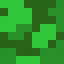 camoflage, magnified