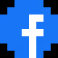 facebook, magnified