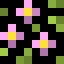 Flowers, magnified