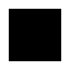 resize, magnified